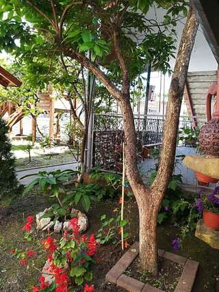 Кемпинги Руно Гагра-2
